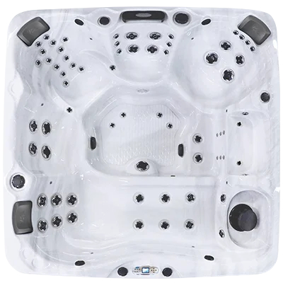 Avalon EC-867L hot tubs for sale in Reno