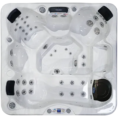 Avalon EC-849L hot tubs for sale in Reno