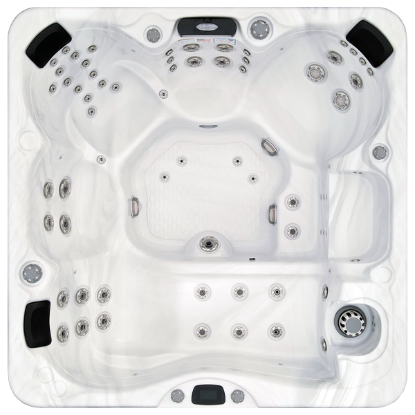 Avalon-X EC-867LX hot tubs for sale in Reno